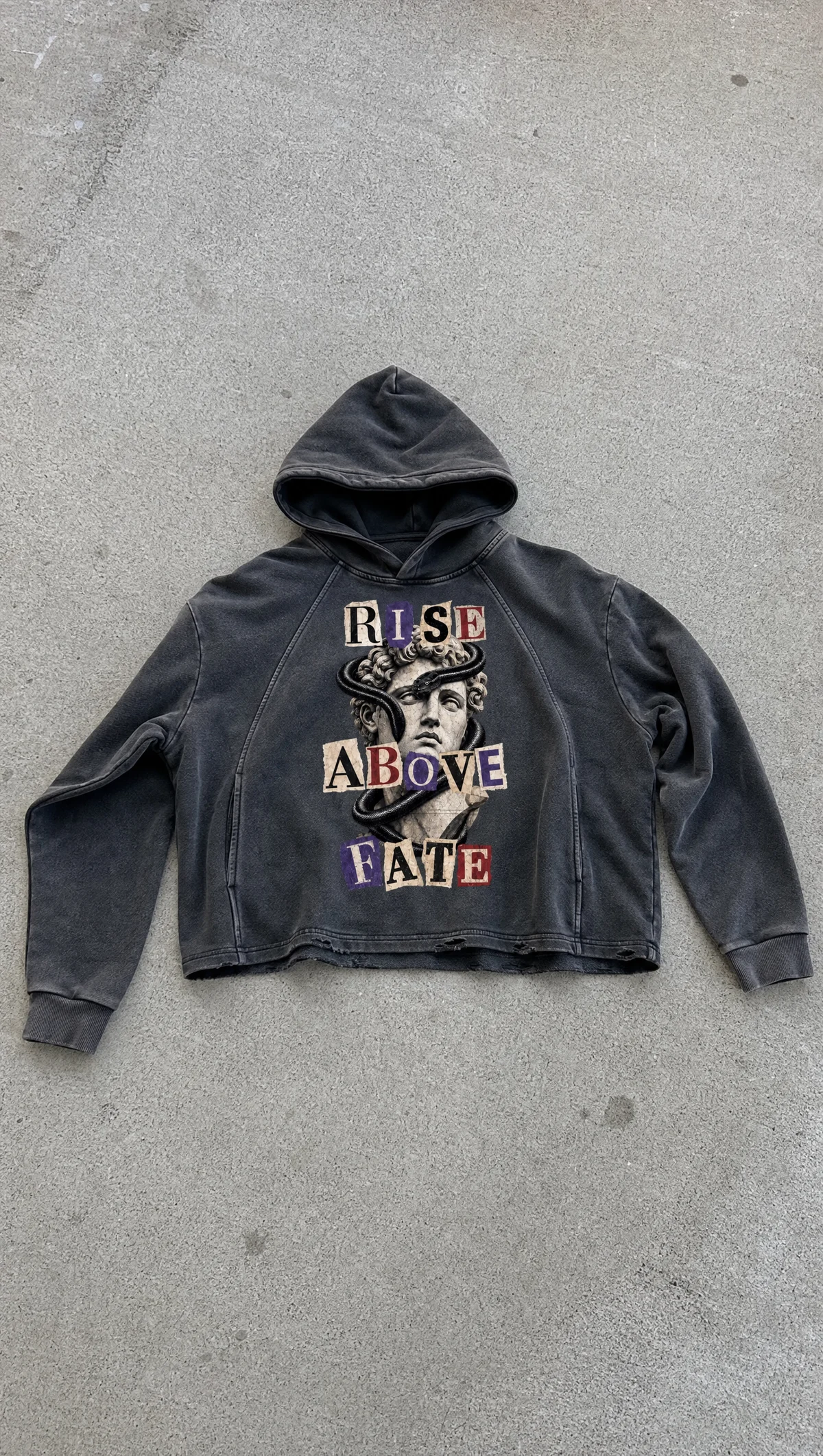 Serpent Of Elysium Vintage Washed Hoodie in Washed Black — product view