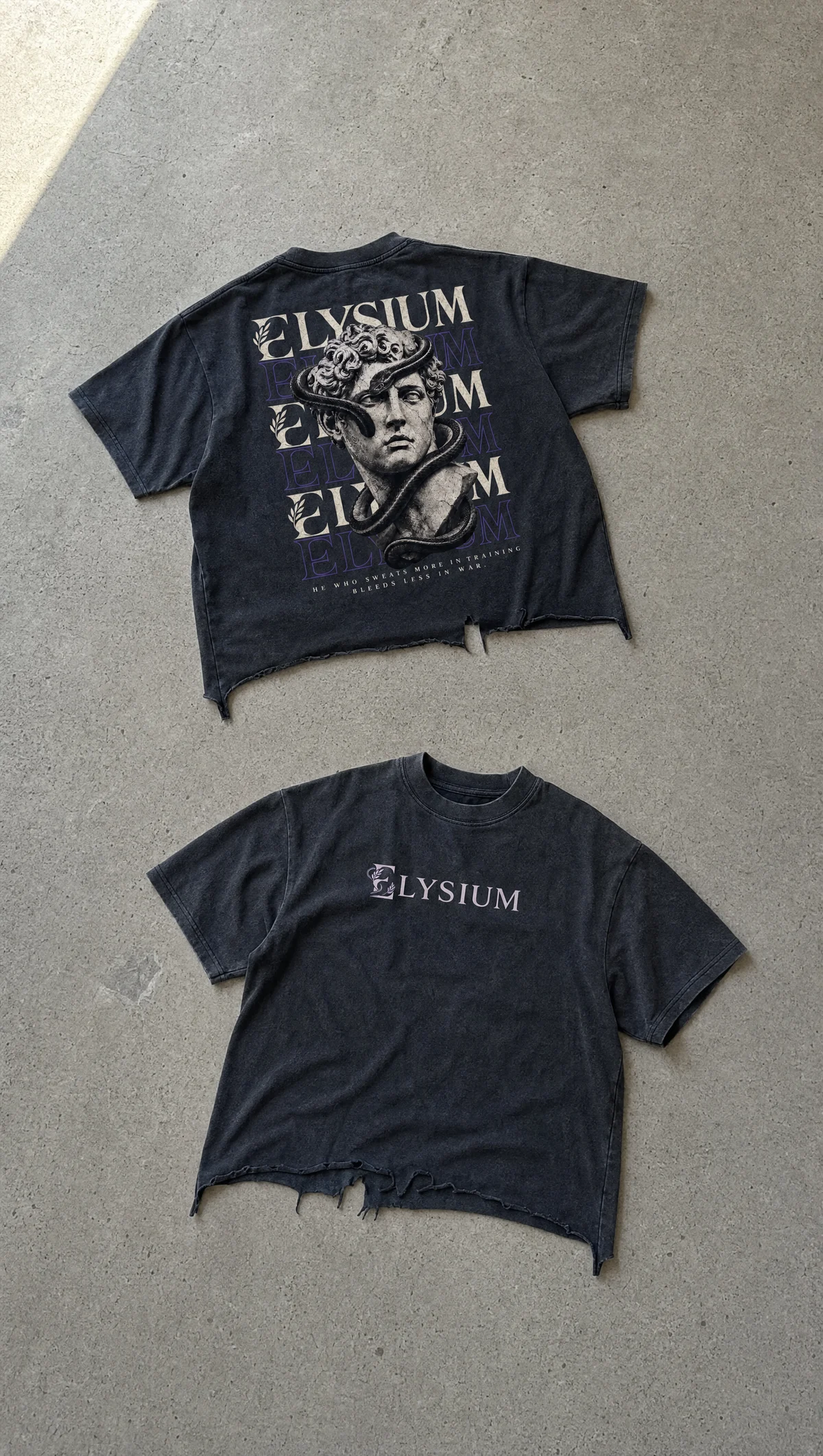 Serpent of Elysium Distressed Cropped Tee in Washed Black — product view